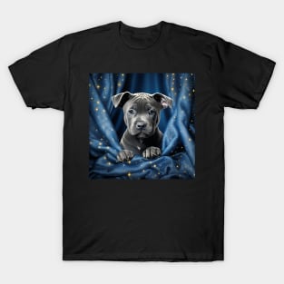 Blue nose Staffy puppy T-Shirt